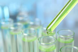 Все трое киевлян, у которых лабораторные исследования подтвердили диагноз, – мужчины возрастом 31, 36 и 67 лет