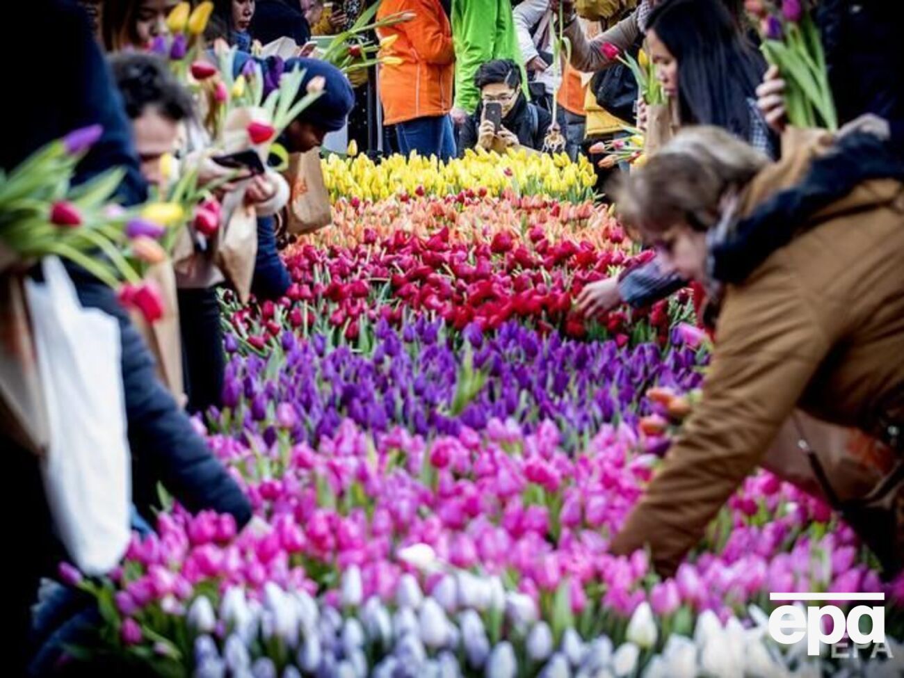 Нидерланды &ndash; это 35% мирового экспорта цветов общей стоимостью &euro;6,2 млрд в год