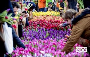 Нидерланды – это 35% мирового экспорта цветов общей стоимостью €6,2 млрд в год