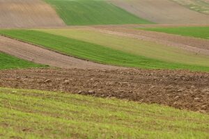 Мораторій на продаж землі в Україні діє з 2002 року