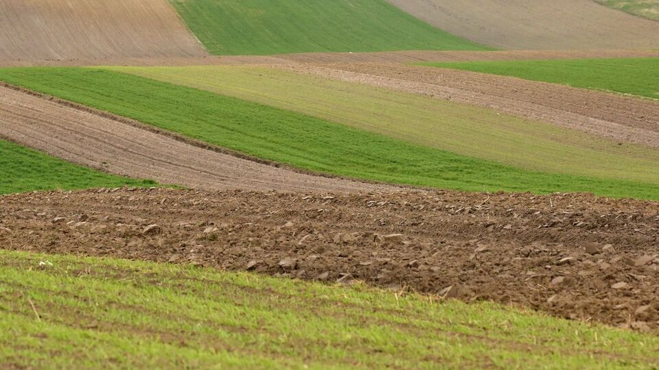 Мораторій на продаж землі в Україні діє з 2002 року
