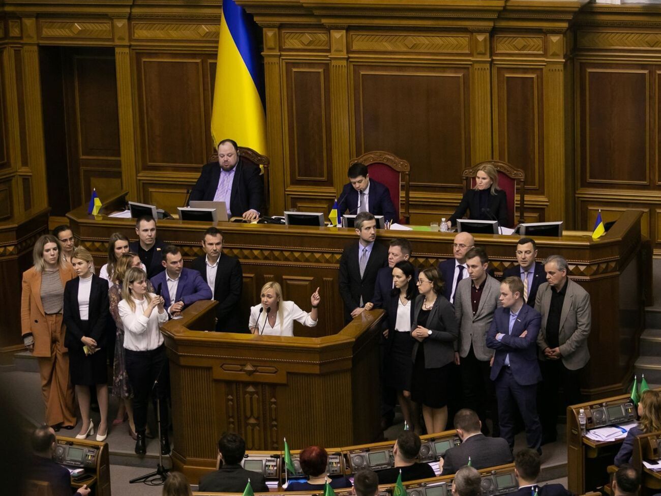 Устинова представила позицию фракции