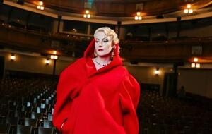 Литвинова обращается к Суркову за советами