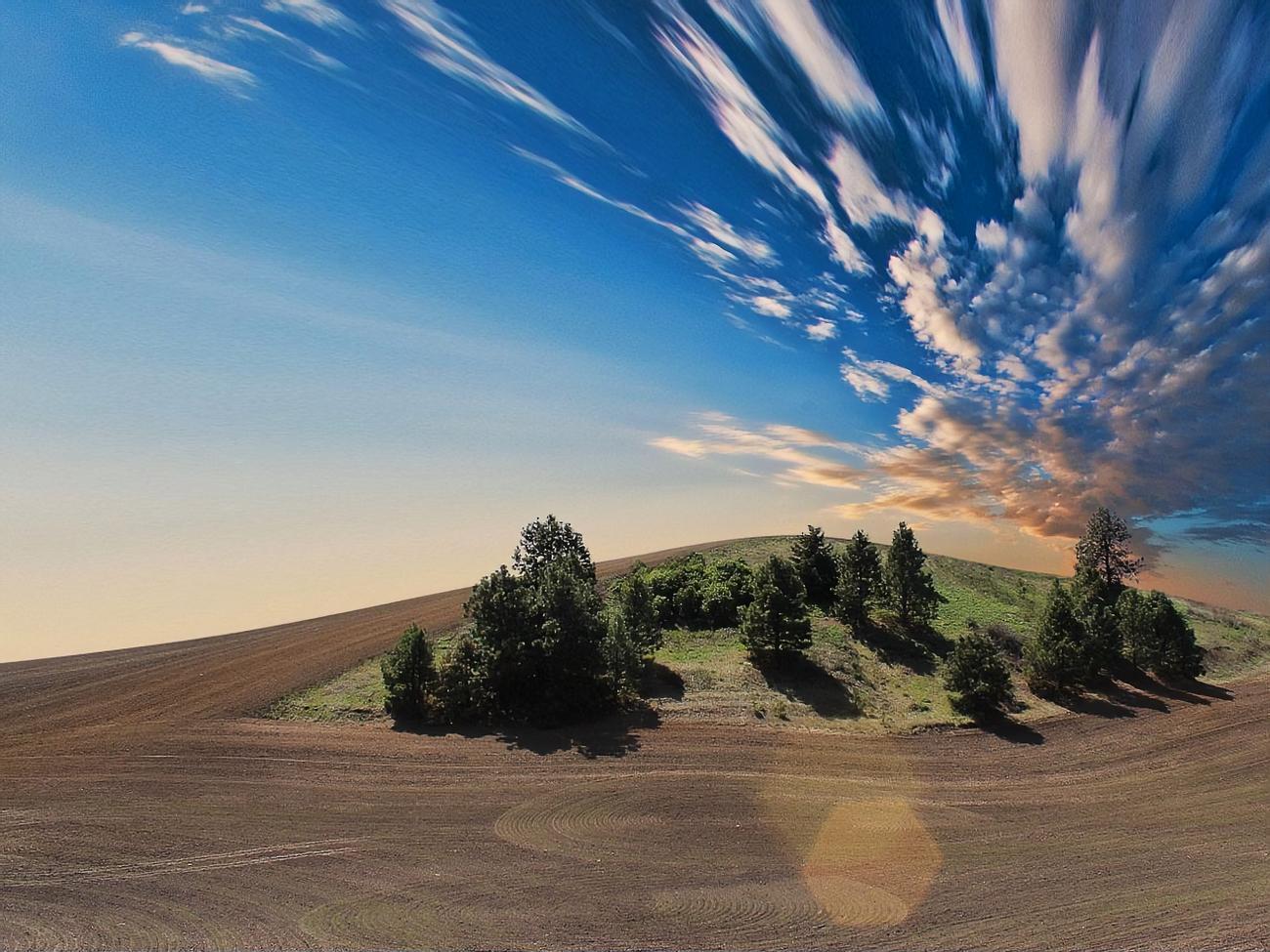 Проект закона предусматривает, что рынок земли заработает с 1 октября 2020 года