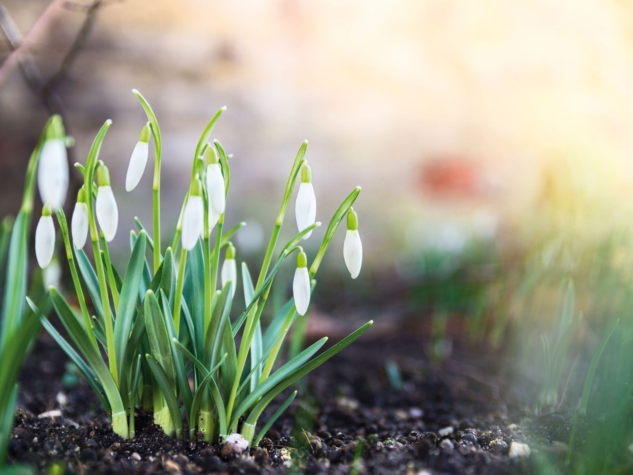 В Киеве ожидается похолодание до +8 &ordm;С, сообщила синоптик