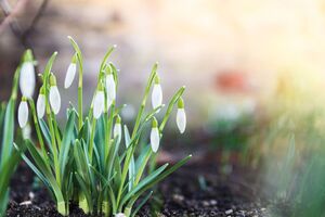 В Киеве ожидается похолодание до +8 ºС, сообщила синоптик