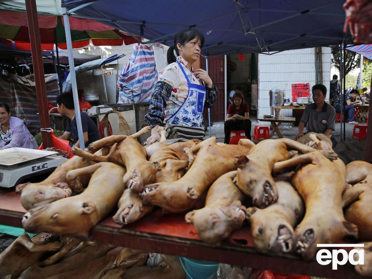 В Китае ежегодно для употребления убивали&nbsp;около 10 млн собак