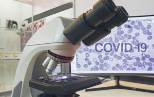 В Великобритании заявили о прогрессе в создании вакцины против COVID-19