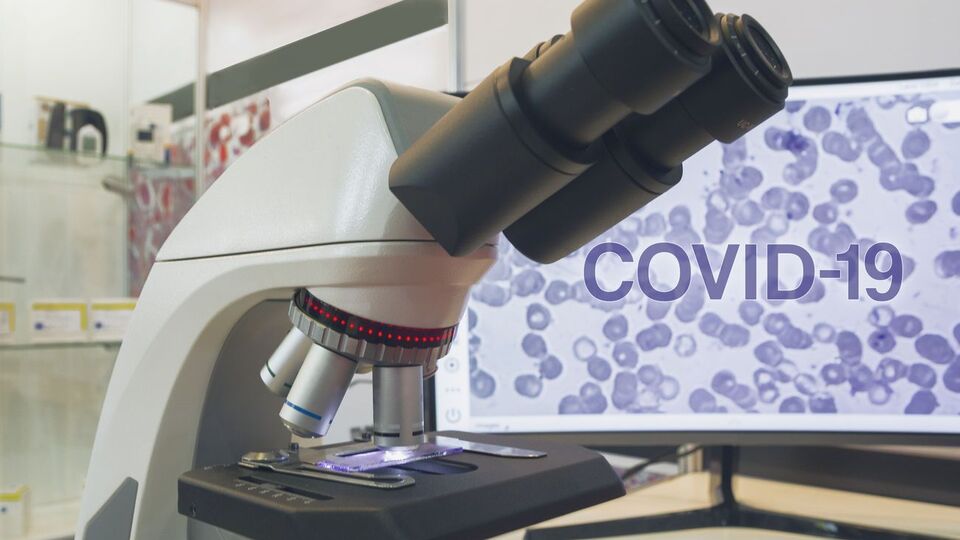 В Великобритании заявили о прогрессе в создании вакцины против COVID-19