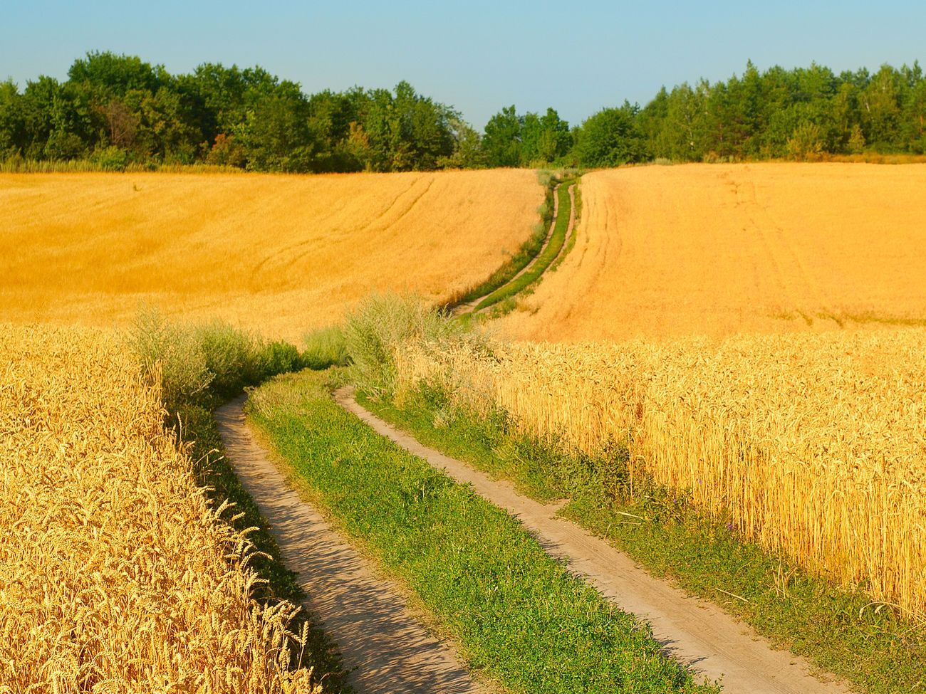 Минэкономики подписало меморандум с основными участниками украинского зернового рынка