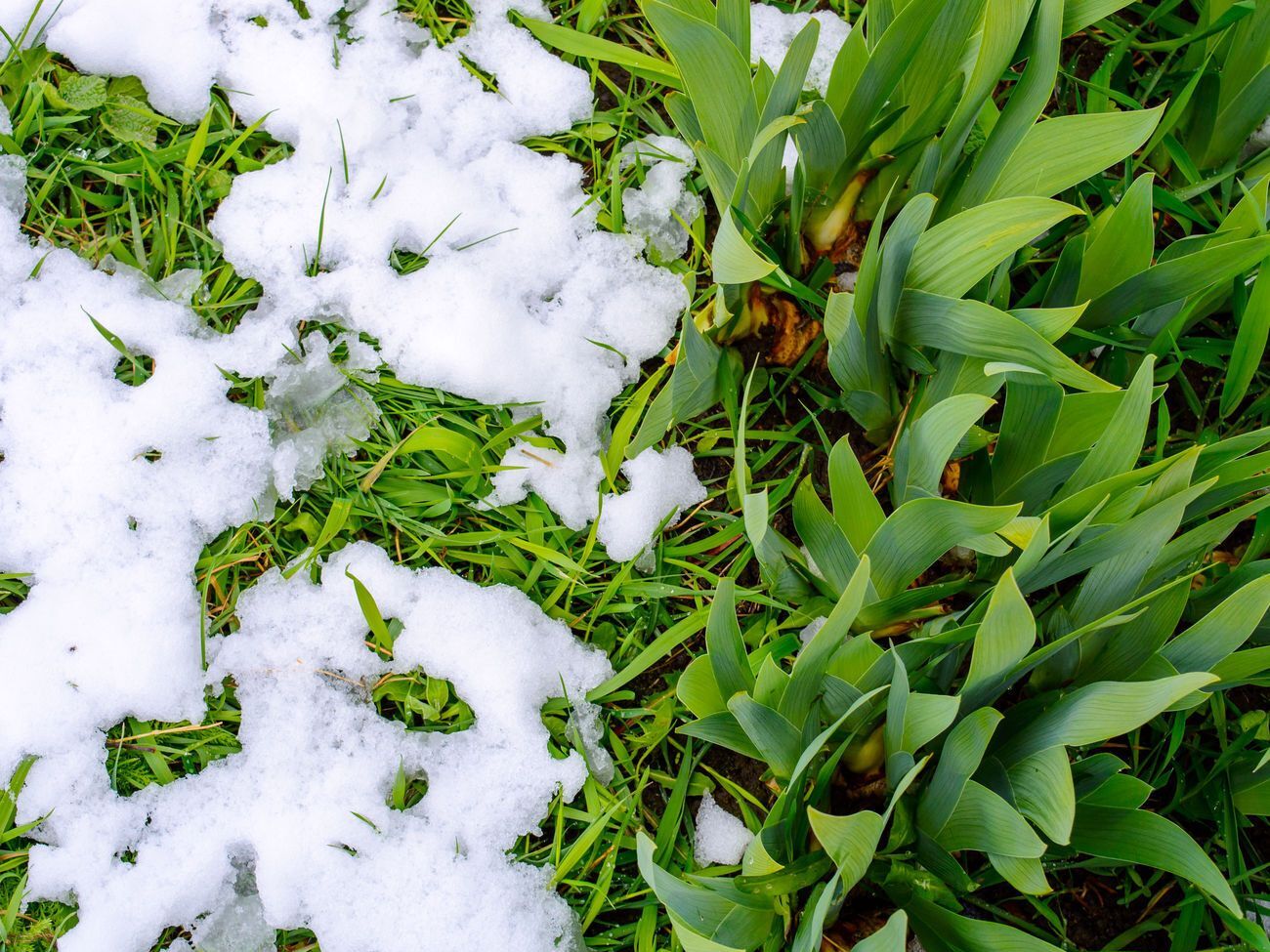 Із вівторка в Україні ймовірне короткострокове похолодання