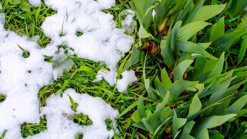 Із вівторка в Україні ймовірне короткострокове похолодання