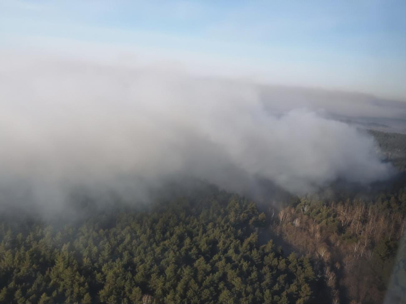 В зоне отчуждения горит травяной настил и лесная подстилка