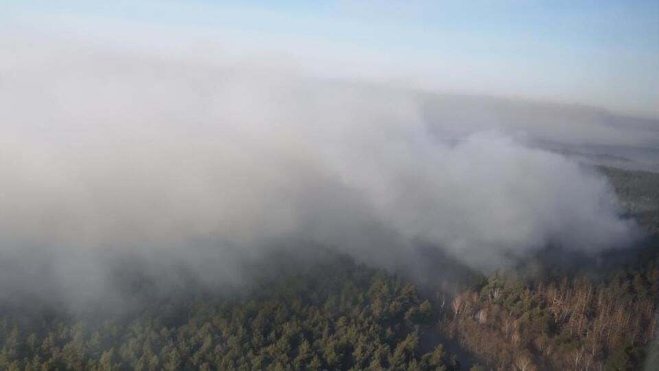 В зоне отчуждения горит травяной настил и лесная подстилка