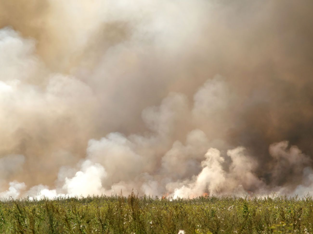Штраф за сжигание сухой травы увеличили многократно