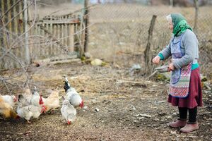Згідно з постановою Кабміну, люди старше 60 років потребують самоізоляції
