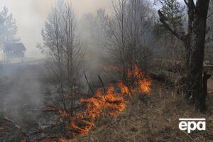 Пожежа триває на території чотирьох лісництв