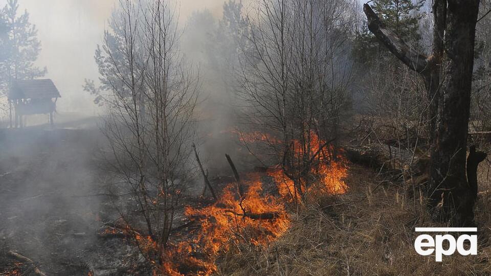 Пожар продолжается на территории четырех лесничеств