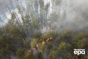 Чернобыльская зона горела с 4 апреля