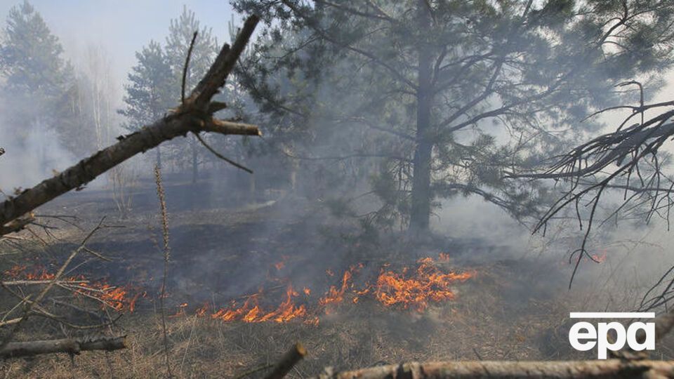 Пожар в Чернобыльской зоне отчуждения начался в первых числах апреля