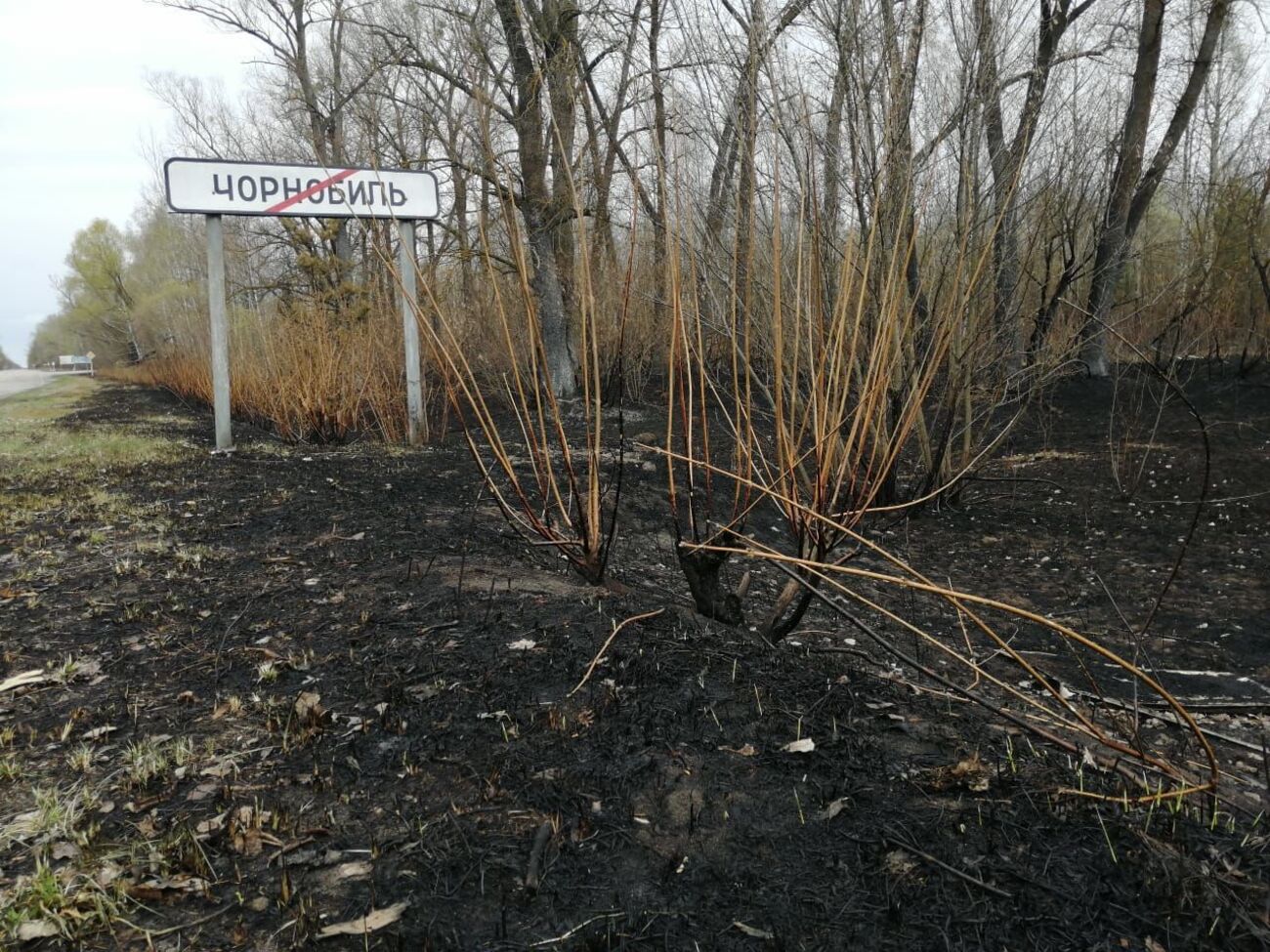 Пожар в зоне отчуждения начался 4 апреля