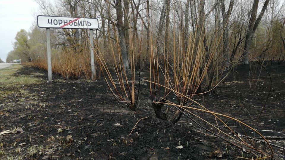 Пожар в зоне отчуждения начался 4 апреля