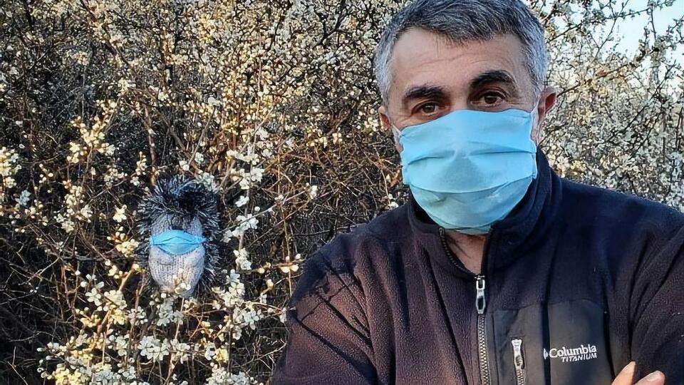 Комаровский: Знаете, чем отличается маска от респиратора? Через маску ощущается запах цветущего терна. А в респираторе ничего такого не унюхивается