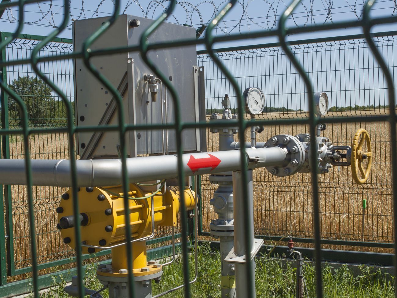 Украина сможет значительно увеличить доходы от транзита газа, если претензии к "Газпрому" будут удовлетворены, считает Витренко