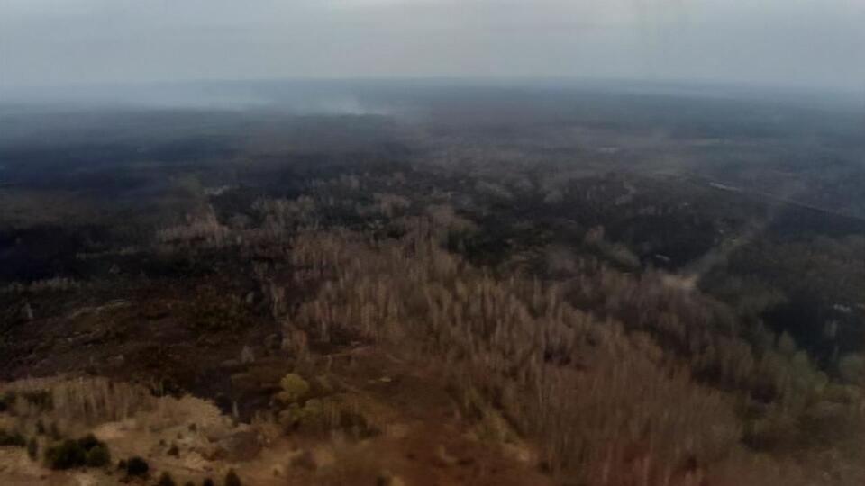 Радіаційний фон у зоні відчуження нижчий за допустиму норму