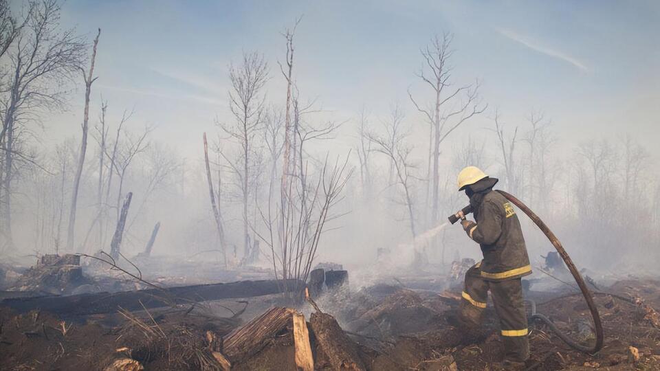 Пожежу в Чорнобильській зоні відчуження загасили 14 квітня