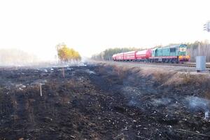 В Житомирской области горит почти 3 тыс. гектаров лесничеств