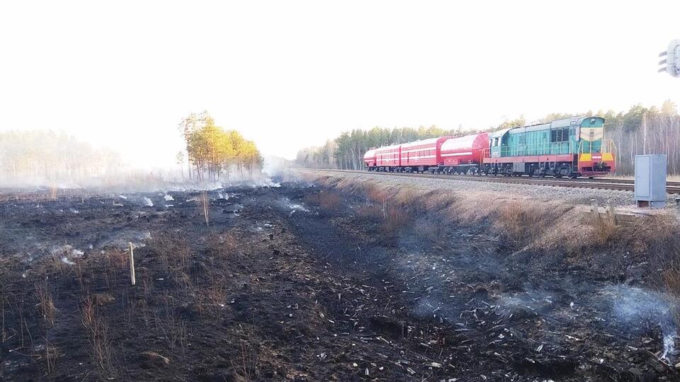У Житомирській області горить майже 3 тис. га лісництв