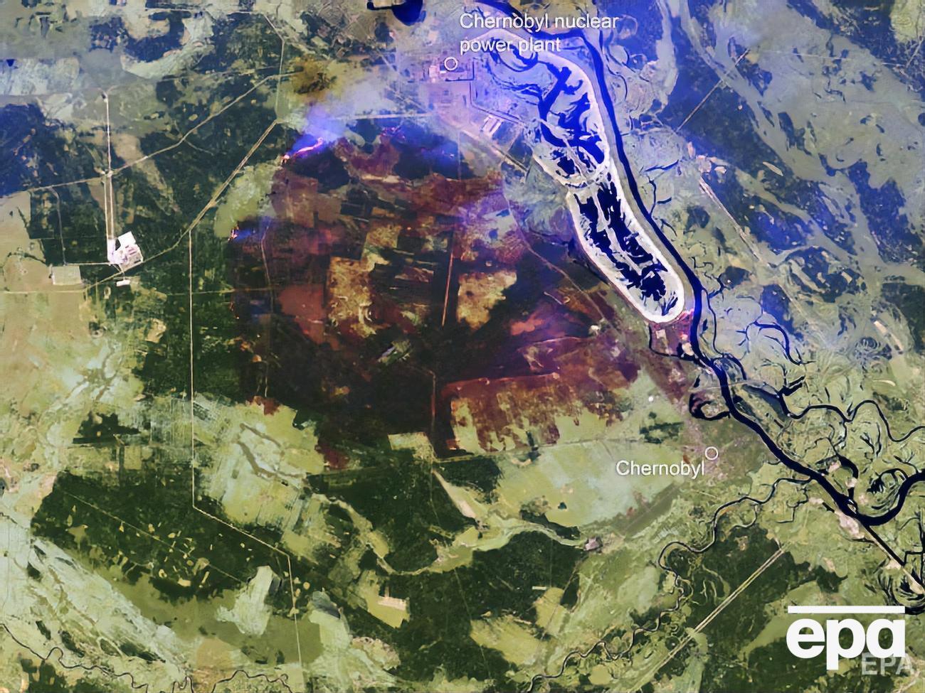 В Житомирской и Киевской областях продолжаются лесные пожары