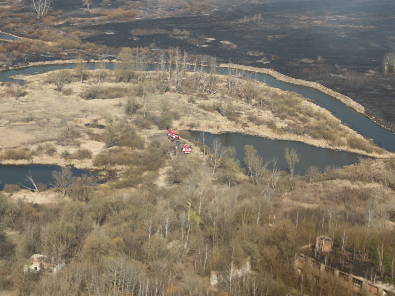 Лесные пожары продолжаются в Киевской и Житомирской областях. В ГСЧС заверили, что ситуация находится под контролем