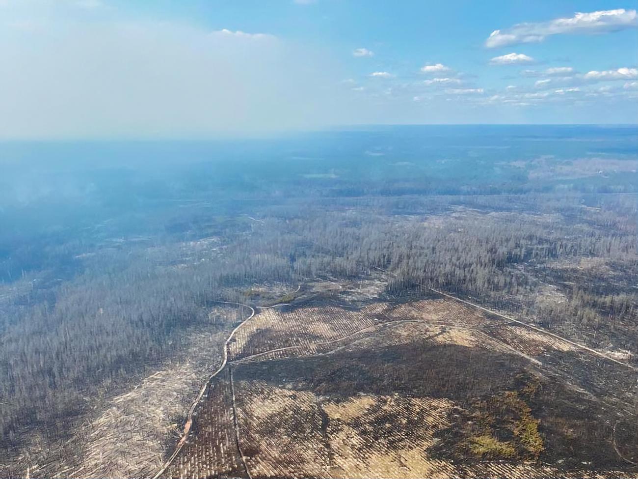 Пожары в Житомирской области начались из-за урагана, а также из-за сжигания сухостоя