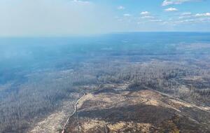 Пожары в Житомирской области начались из-за урагана, а также из-за сжигания сухостоя