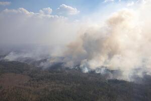 Пожежами охоплено понад 4 тис. га території Житомирської області