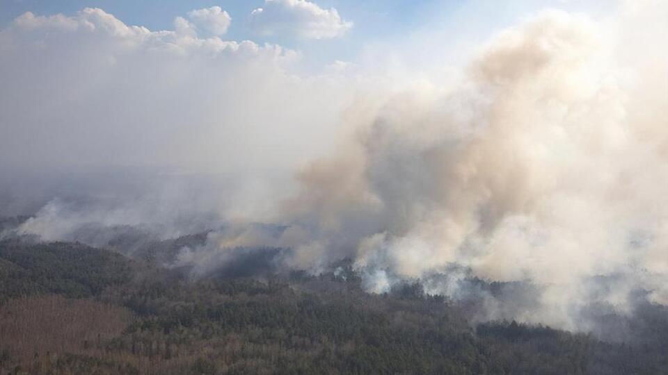 Пожарами охвачено более 4 тыс. га территории Житомирской области