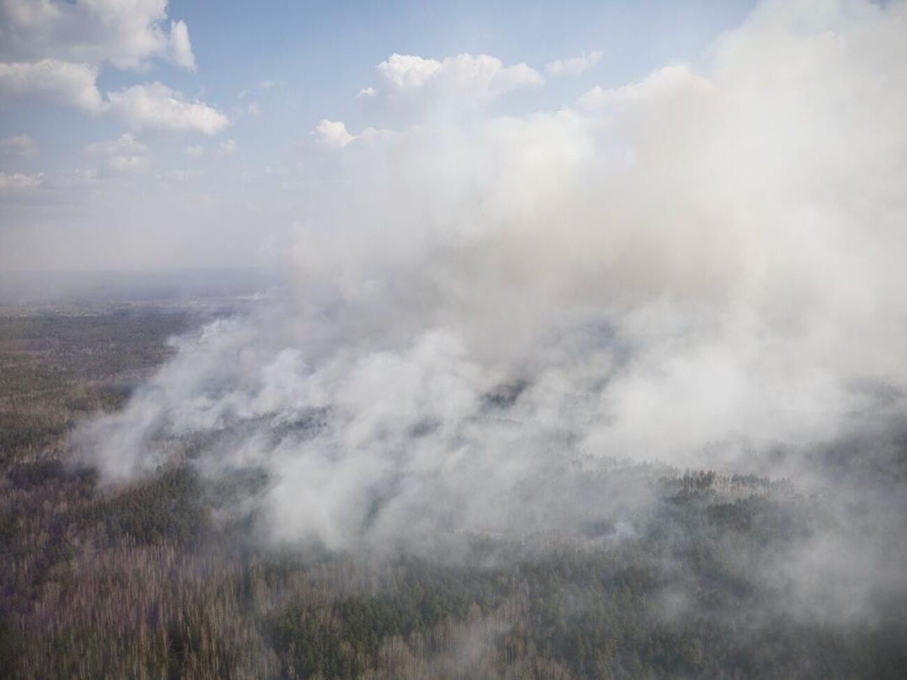 У Житомирській області тривають лісові пожежі