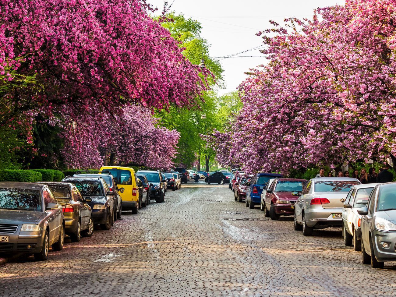 Источники землетрясений находились в районе Ужгорода&nbsp;