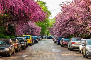 Источники землетрясений находились в районе Ужгорода