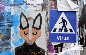 Пандемия внесла изменения в английскую лексику