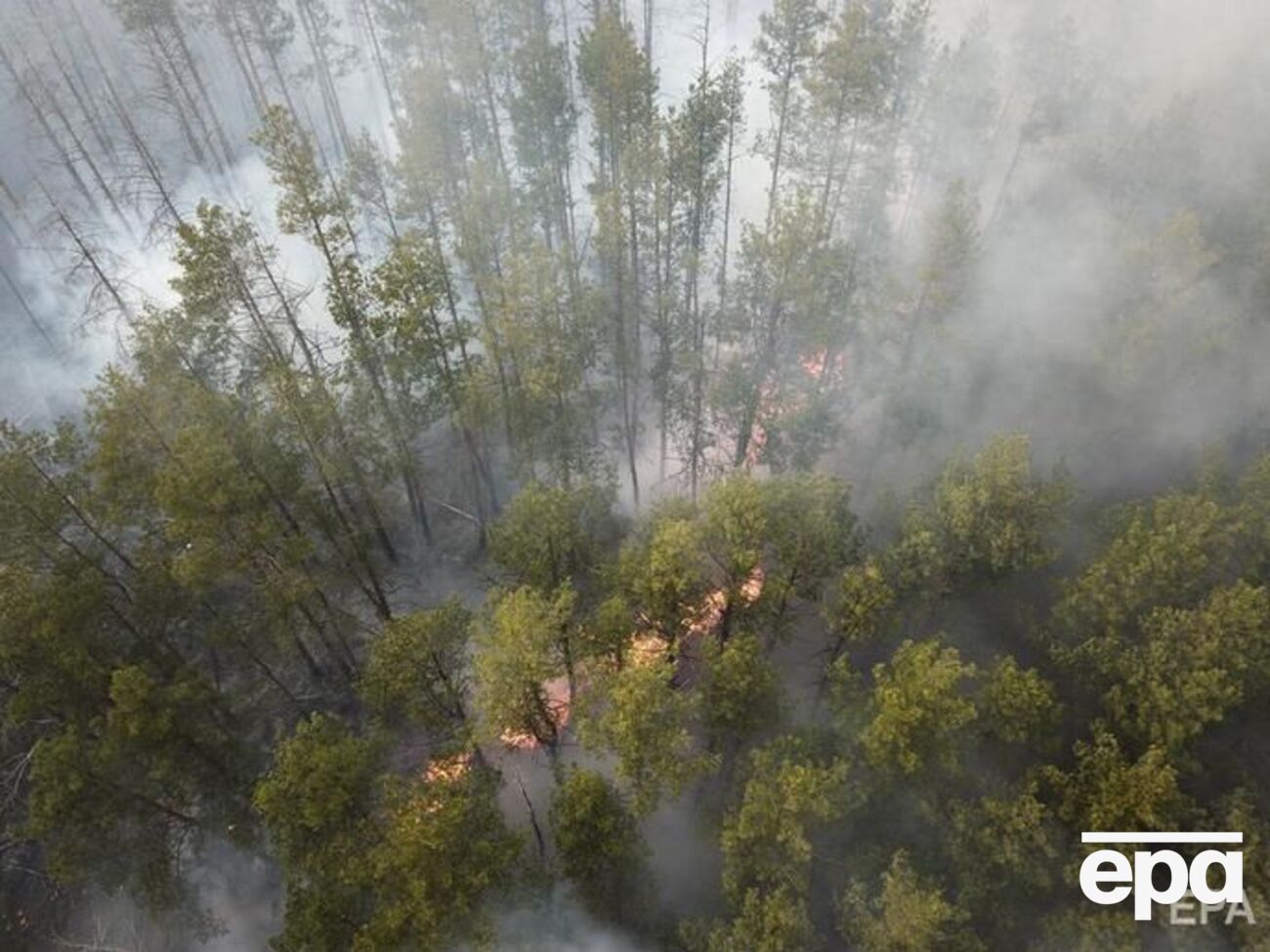 В настоящее время спасатели тушат пожары в Киевской и Житомирской областях
