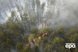 Наразі рятувальники гасять пожежі в Київській і Житомирській областях