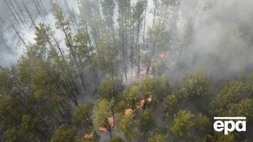 Наразі рятувальники гасять пожежі в Київській і Житомирській областях