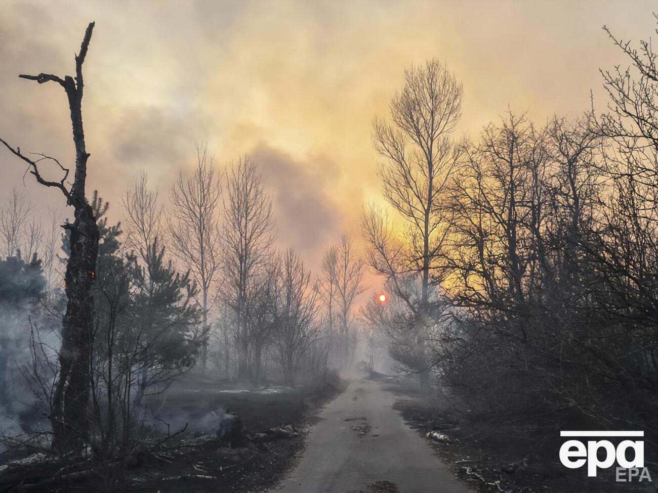 В зоне отчуждения осталось еще три очага лесного пожара