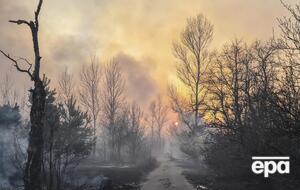 У зоні відчуження залишилося ще три осередки лісової пожежі
