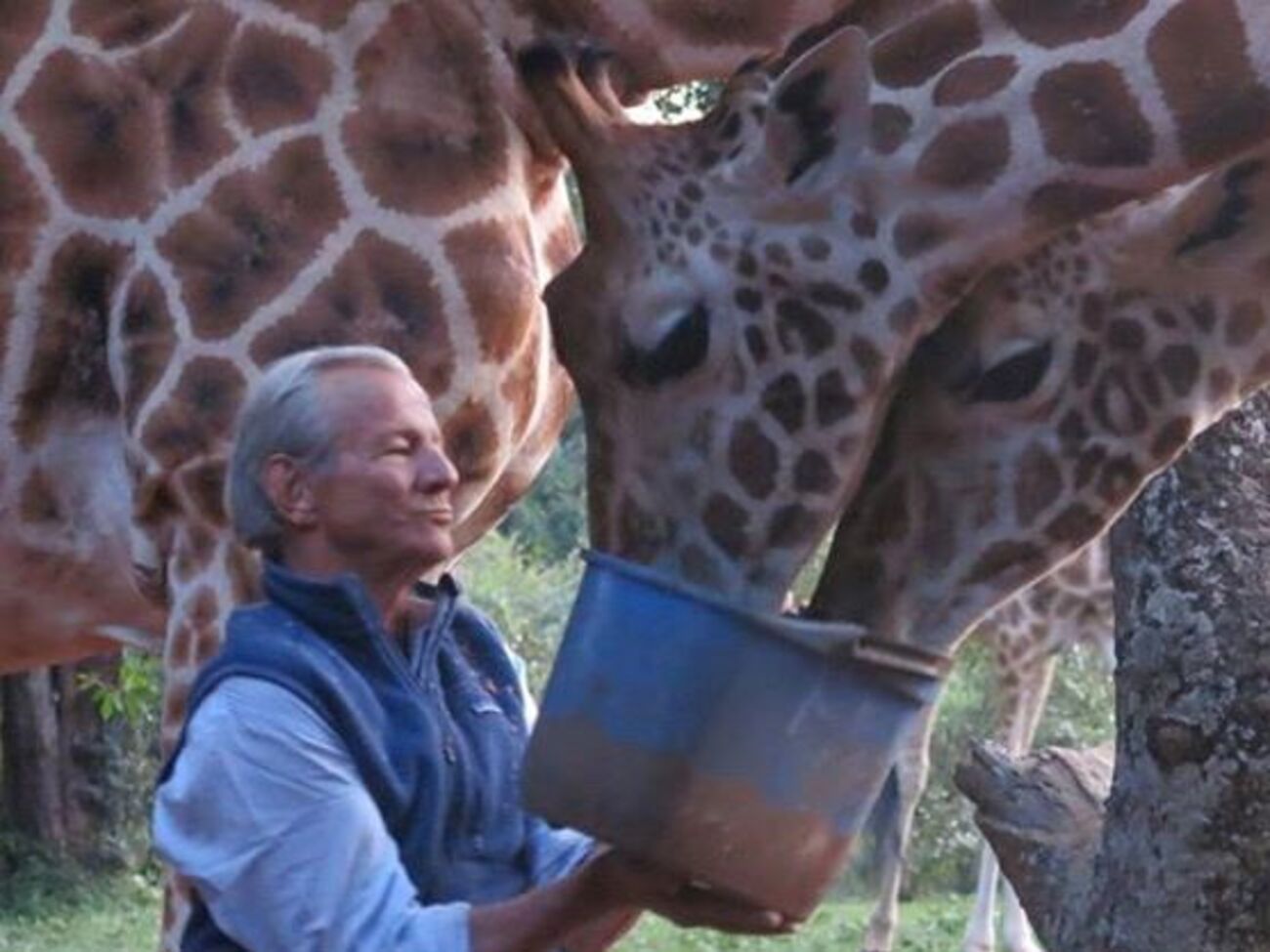 В Кении фотограф сделал несколько тысяч снимков животных, которые были изданы в виде фотоальбомов