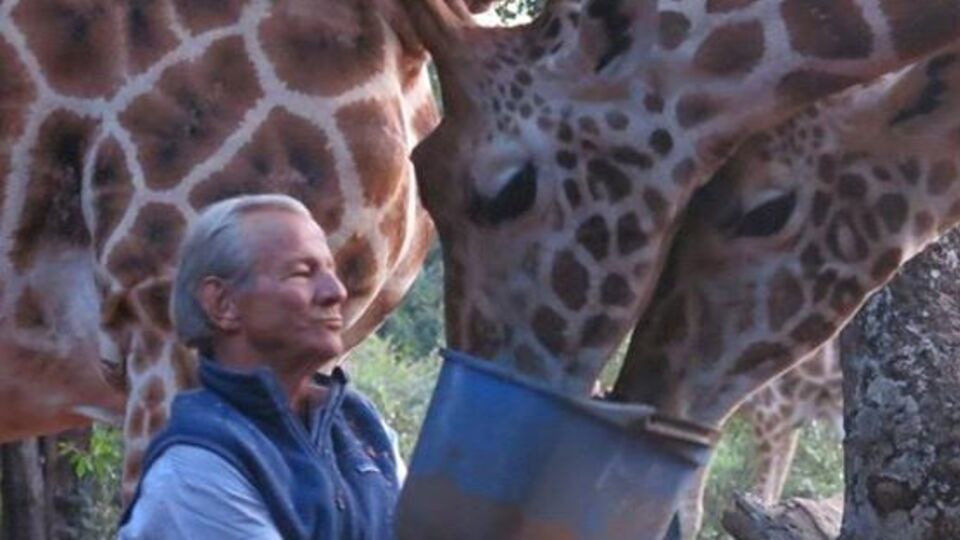 В Кении фотограф сделал несколько тысяч снимков животных, которые были изданы в виде фотоальбомов