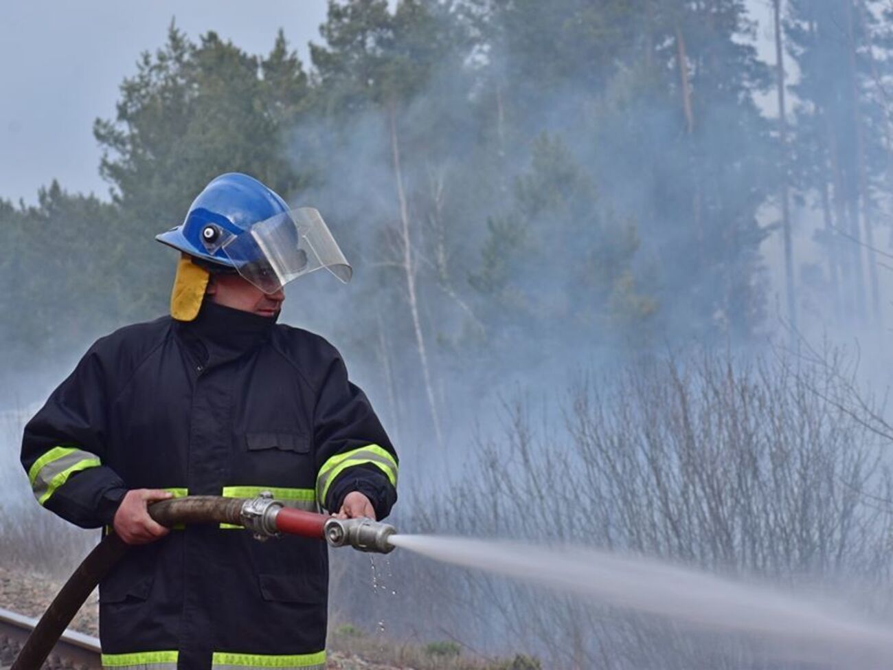 Лісова пожежа в Овруцькому районі Житомирської області триває із середини квітня